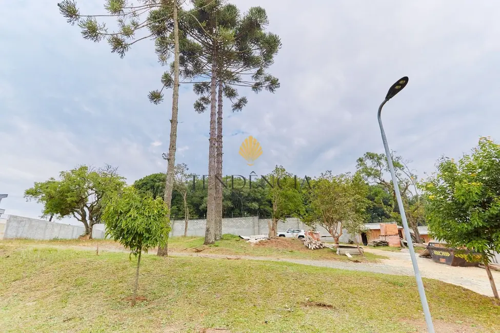 Foto 3 de Terreno / Lote à venda, 989m2 em Butiatuvinha, Curitiba - PR