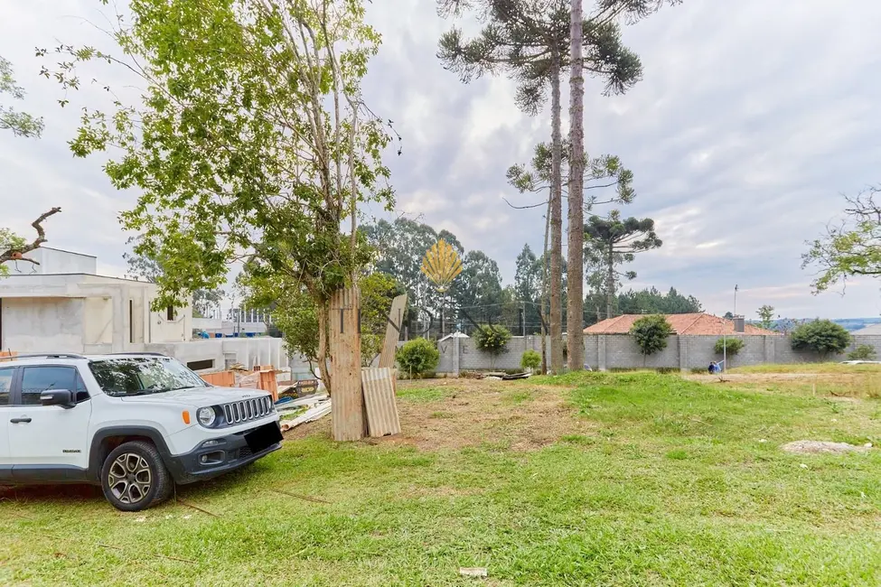 Foto 6 de Terreno / Lote à venda, 989m2 em Butiatuvinha, Curitiba - PR