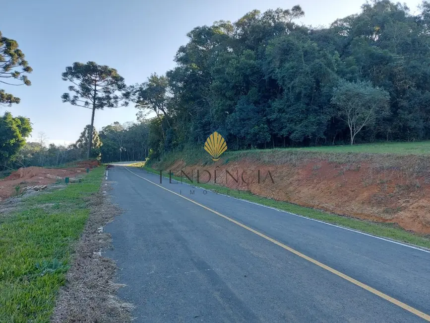 Terreno / Lote à venda, 1060m2 em Rondinha, Campo Largo - PR - imagem 8 Foto 8 de Terreno / Lote à venda, 1060m2 em Rondinha, Campo Largo - PR