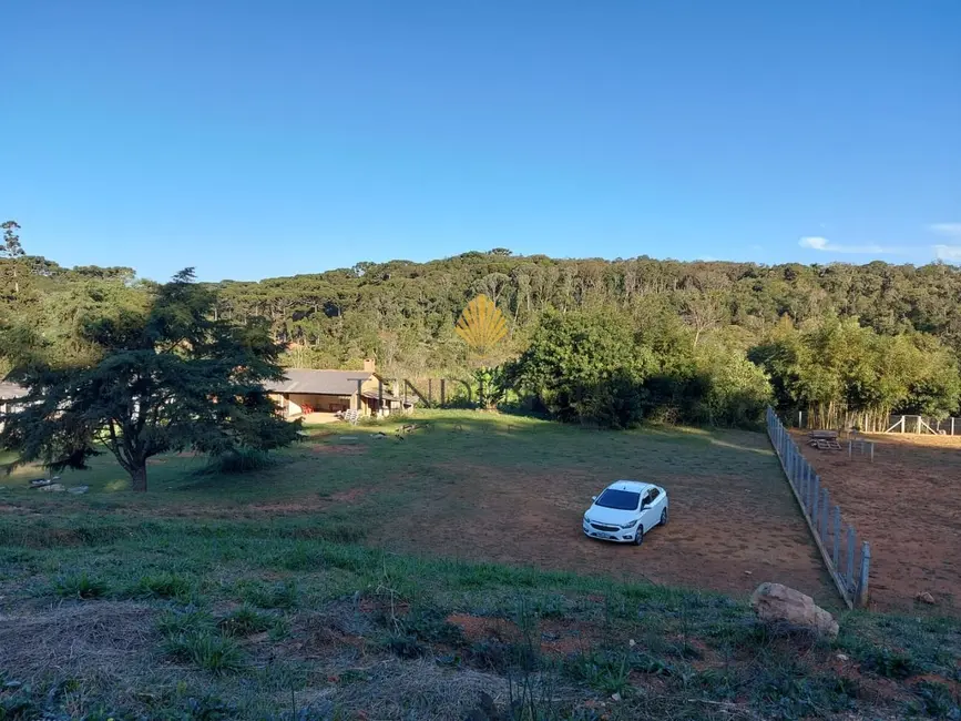 Terreno / Lote à venda, 1060m2 em Rondinha, Campo Largo - PR - imagem 3 Foto 3 de Terreno / Lote à venda, 1060m2 em Rondinha, Campo Largo - PR