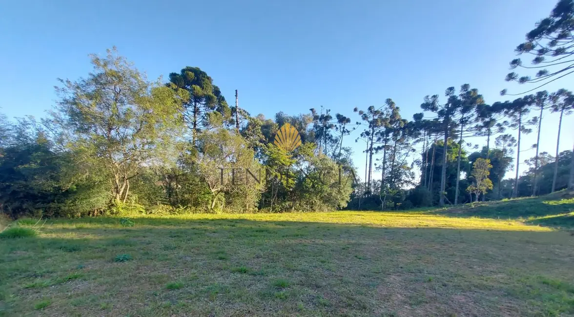 Foto 1 de Terreno / Lote à venda, 1060m2 em Rondinha, Campo Largo - PR