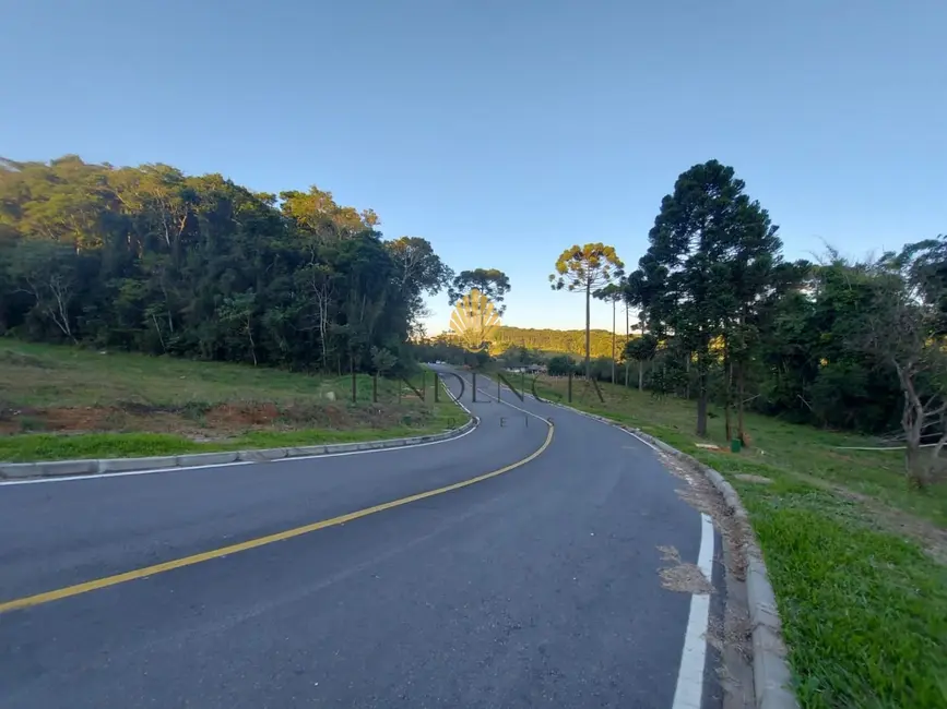 Terreno / Lote à venda, 1060m2 em Rondinha, Campo Largo - PR - imagem 4 Foto 4 de Terreno / Lote à venda, 1060m2 em Rondinha, Campo Largo - PR