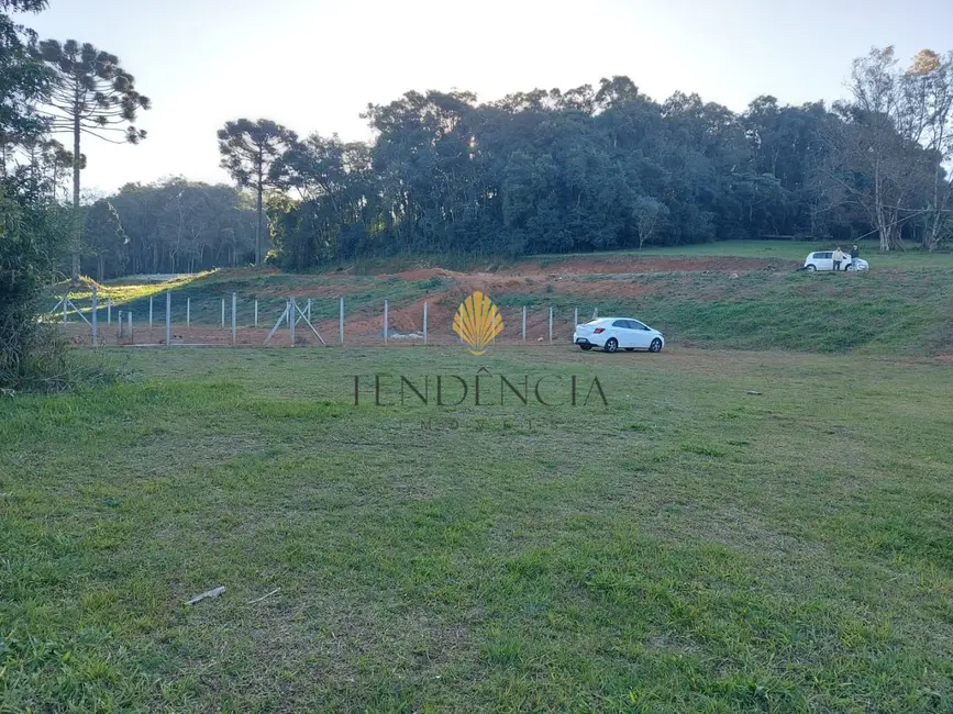 Terreno / Lote à venda, 1060m2 em Rondinha, Campo Largo - PR - imagem 9 Foto 9 de Terreno / Lote à venda, 1060m2 em Rondinha, Campo Largo - PR