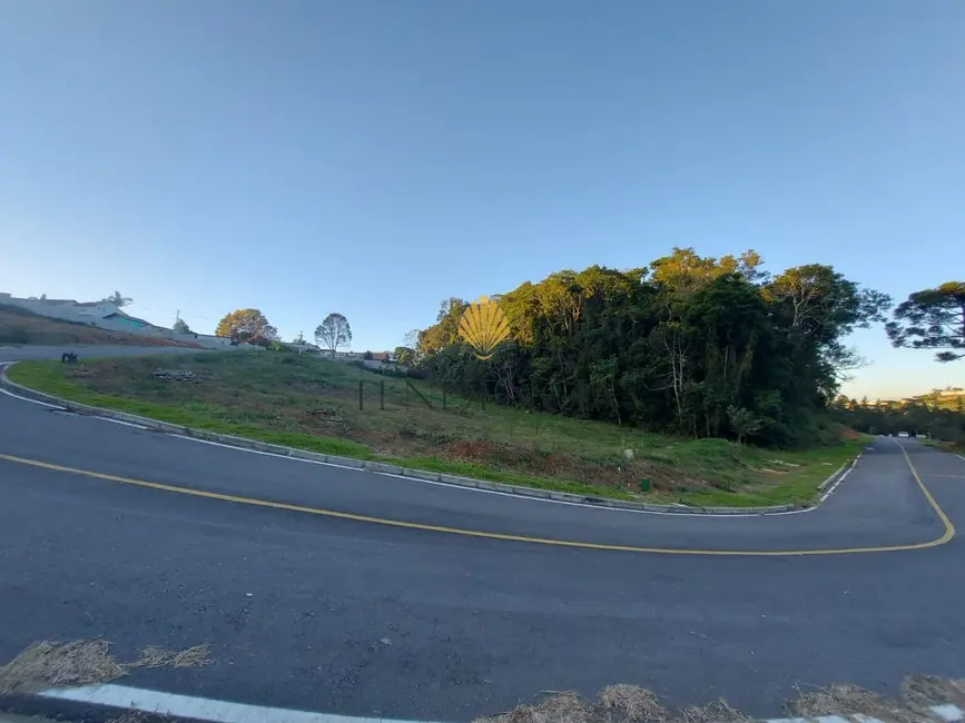 Terreno / Lote à venda, 1060m2 em Rondinha, Campo Largo - PR - imagem 5 Foto 5 de Terreno / Lote à venda, 1060m2 em Rondinha, Campo Largo - PR