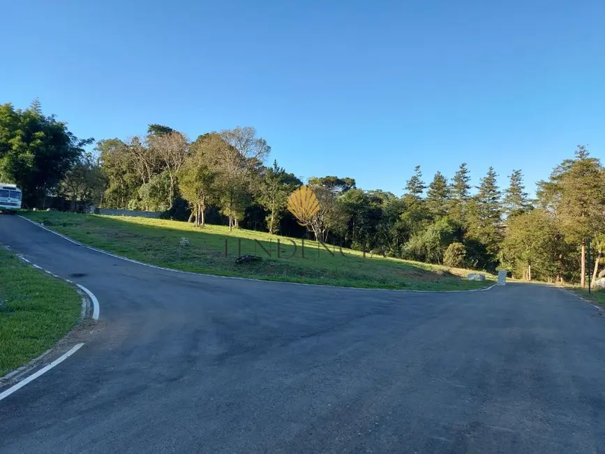 Terreno / Lote à venda, 1060m2 em Rondinha, Campo Largo - PR - imagem 6 Foto 6 de Terreno / Lote à venda, 1060m2 em Rondinha, Campo Largo - PR