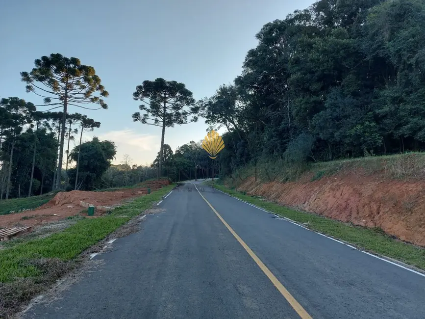 Terreno / Lote à venda, 1060m2 em Rondinha, Campo Largo - PR - imagem 7 Foto 7 de Terreno / Lote à venda, 1060m2 em Rondinha, Campo Largo - PR