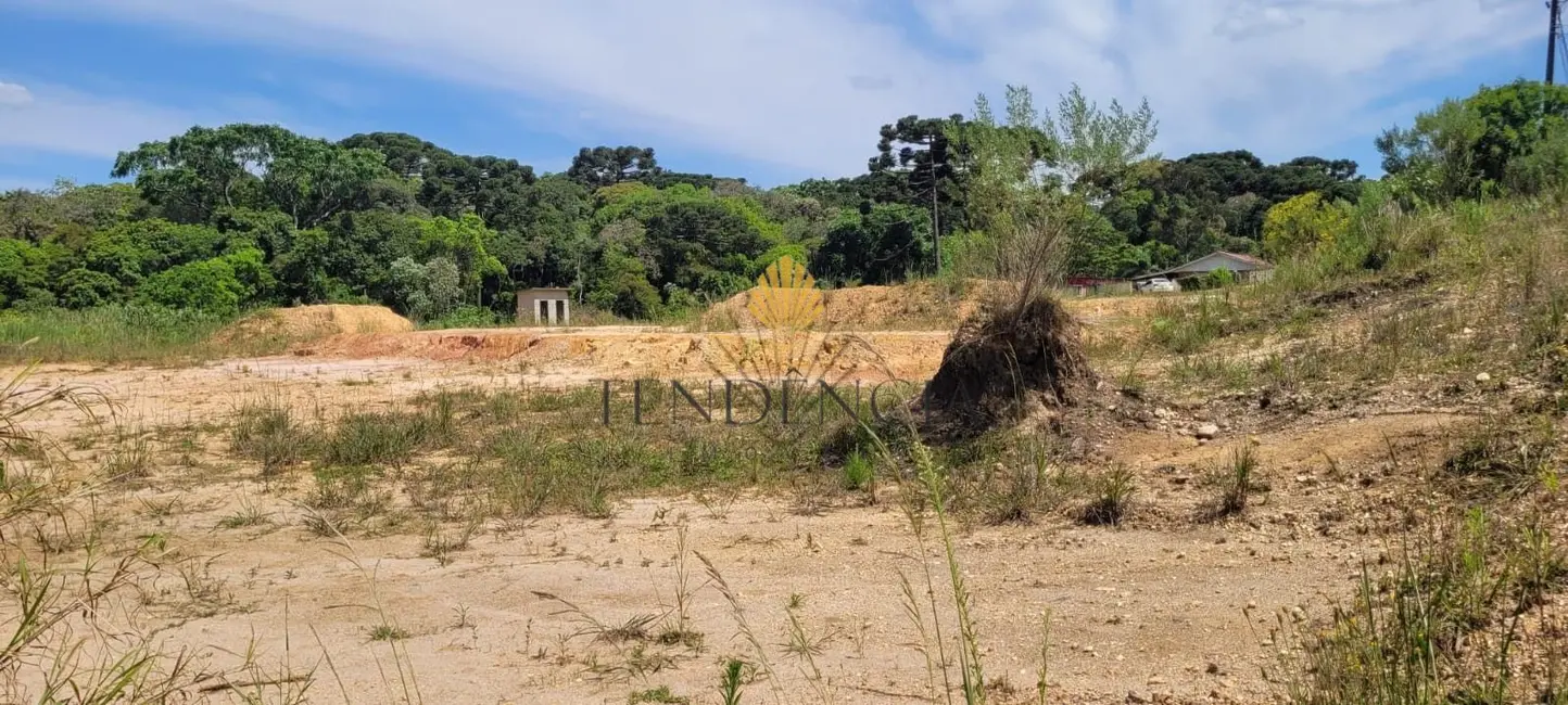 Terreno / Lote à venda, 1185m2 em Centro, Tijucas Do Sul - PR - imagem 7 Foto 7 de Terreno / Lote à venda, 1185m2 em Centro, Tijucas Do Sul - PR