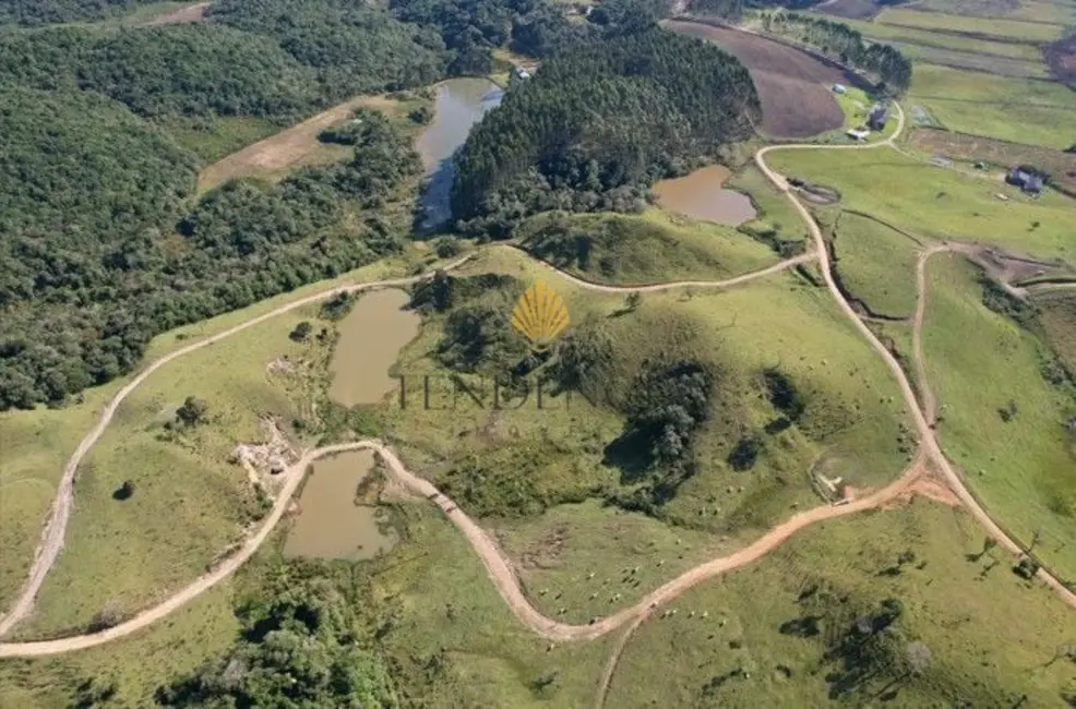 Fazenda / Haras à venda, 6848600m2 em Colônia Murici, Sao Jose Dos Pinhais - PR - imagem 8 Foto 8 de Fazenda / Haras à venda, 6848600m2 em Colônia Murici, Sao Jose Dos Pinhais - PR
