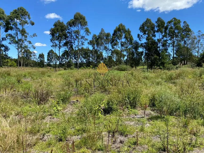 Foto 5 de Chácara com 1 quarto à venda, 57860m2 em Tijucas Do Sul - PR