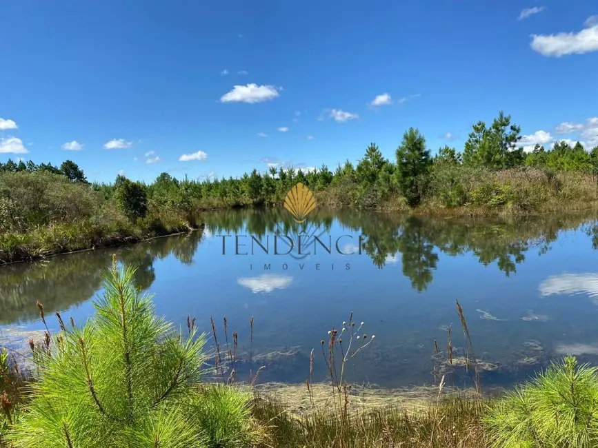 Foto 8 de Chácara com 1 quarto à venda, 57860m2 em Tijucas Do Sul - PR
