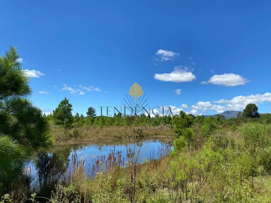 Foto 9 de Chácara com 1 quarto à venda, 57860m2 em Tijucas Do Sul - PR
