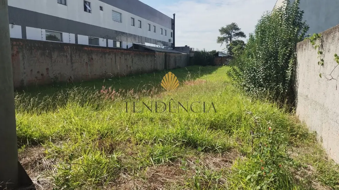 Terreno / Lote com 1 quarto à venda, 660m2 em Hauer, Curitiba - PR - imagem 4 Foto 4 de Terreno / Lote com 1 quarto à venda, 660m2 em Hauer, Curitiba - PR