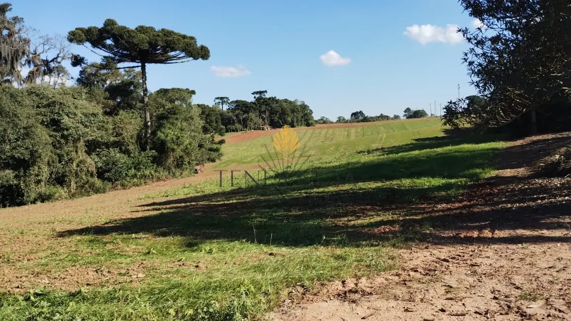 Terreno / Lote à venda, 179087m2 em Porto das Laranjeiras, Araucaria - PR - imagem 4 Foto 4 de Terreno / Lote à venda, 179087m2 em Porto das Laranjeiras, Araucaria - PR