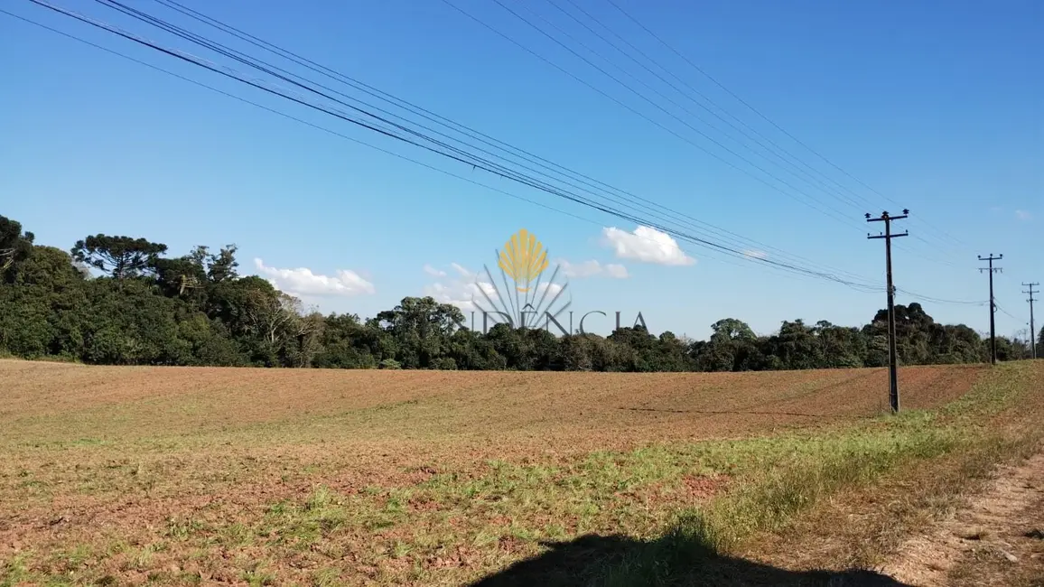Terreno / Lote à venda, 179087m2 em Porto das Laranjeiras, Araucaria - PR - imagem 5 Foto 5 de Terreno / Lote à venda, 179087m2 em Porto das Laranjeiras, Araucaria - PR