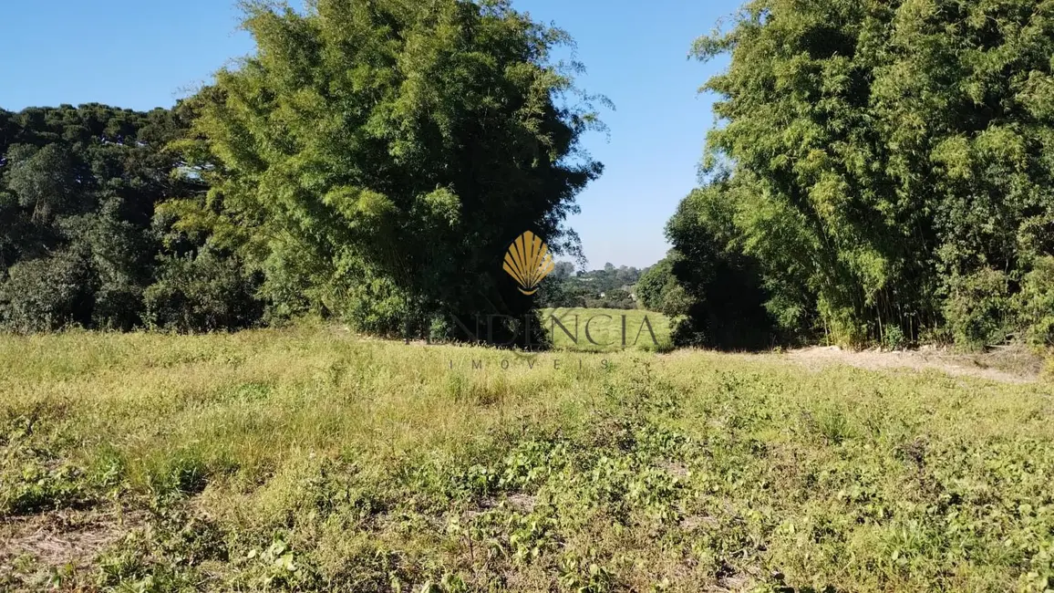 Terreno / Lote à venda, 179087m2 em Porto das Laranjeiras, Araucaria - PR - imagem 9 Foto 9 de Terreno / Lote à venda, 179087m2 em Porto das Laranjeiras, Araucaria - PR