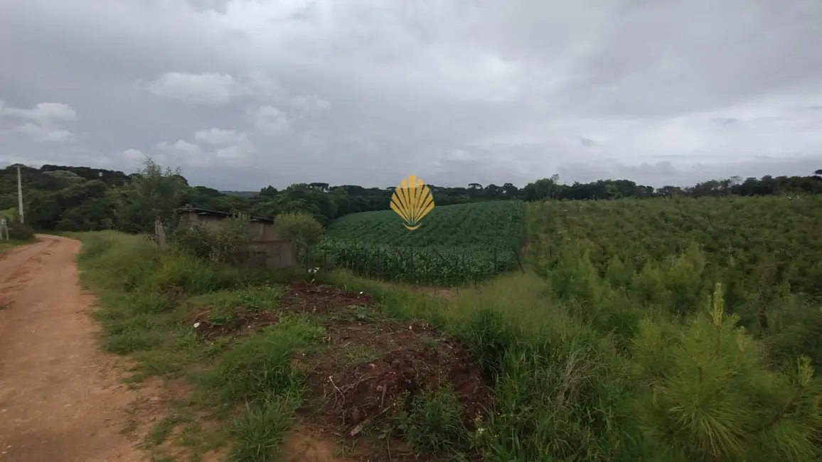 Foto 2 de Chácara com 1 quarto à venda, 25110m2 em Cachoeira, Sao Jose Dos Pinhais - PR