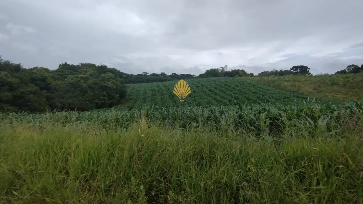 Chácara com 1 quarto à venda, 25110m2 em Cachoeira, Sao Jose Dos Pinhais - PR - imagem 3 Foto 3 de Chácara com 1 quarto à venda, 25110m2 em Cachoeira, Sao Jose Dos Pinhais - PR