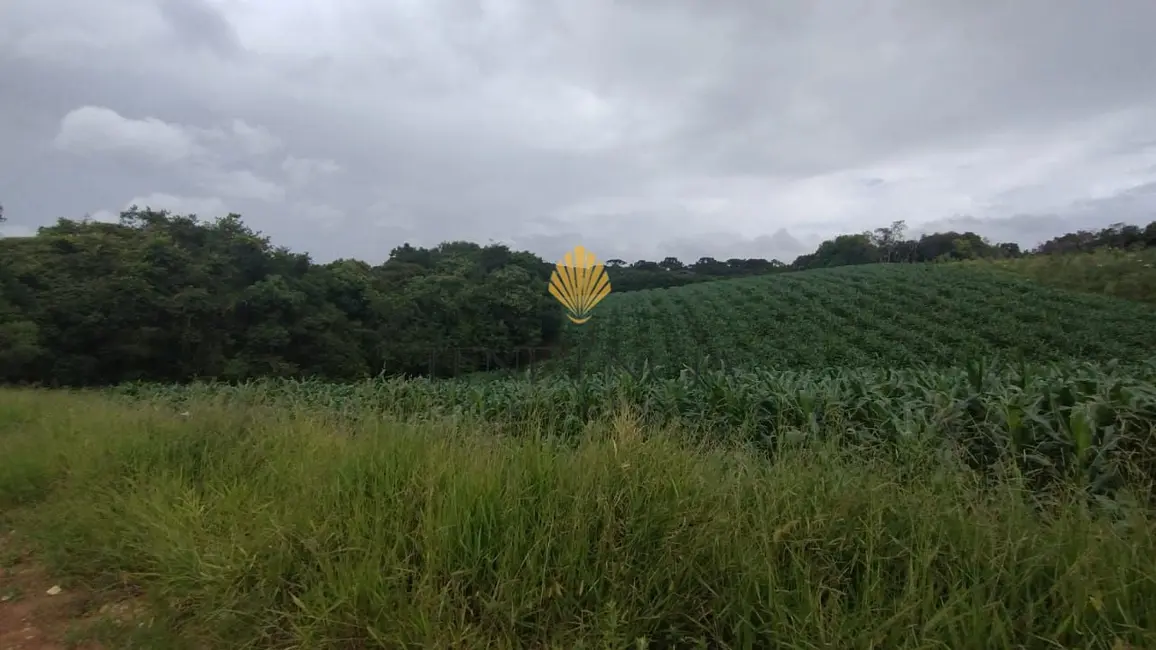 Chácara com 1 quarto à venda, 25110m2 em Cachoeira, Sao Jose Dos Pinhais - PR - imagem 4 Foto 4 de Chácara com 1 quarto à venda, 25110m2 em Cachoeira, Sao Jose Dos Pinhais - PR