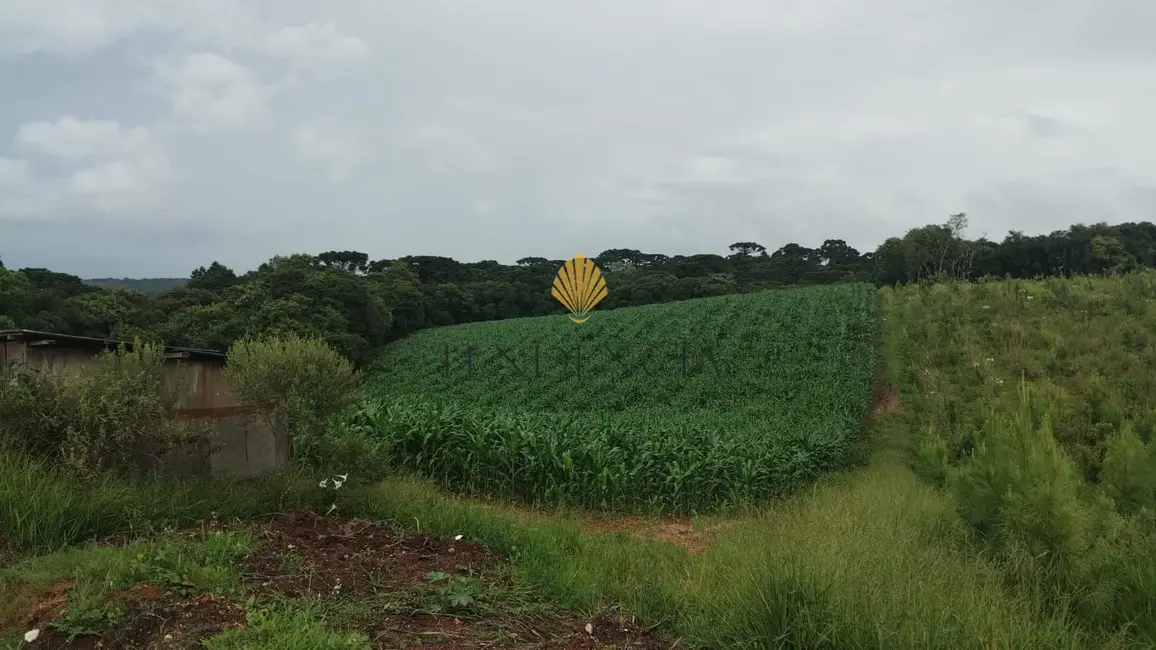 Chácara com 1 quarto à venda, 25110m2 em Cachoeira, Sao Jose Dos Pinhais - PR - imagem 7 Foto 7 de Chácara com 1 quarto à venda, 25110m2 em Cachoeira, Sao Jose Dos Pinhais - PR