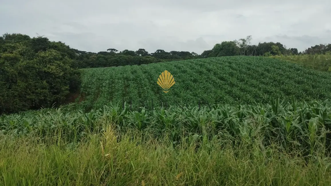 Foto 1 de Chácara com 1 quarto à venda, 25110m2 em Cachoeira, Sao Jose Dos Pinhais - PR