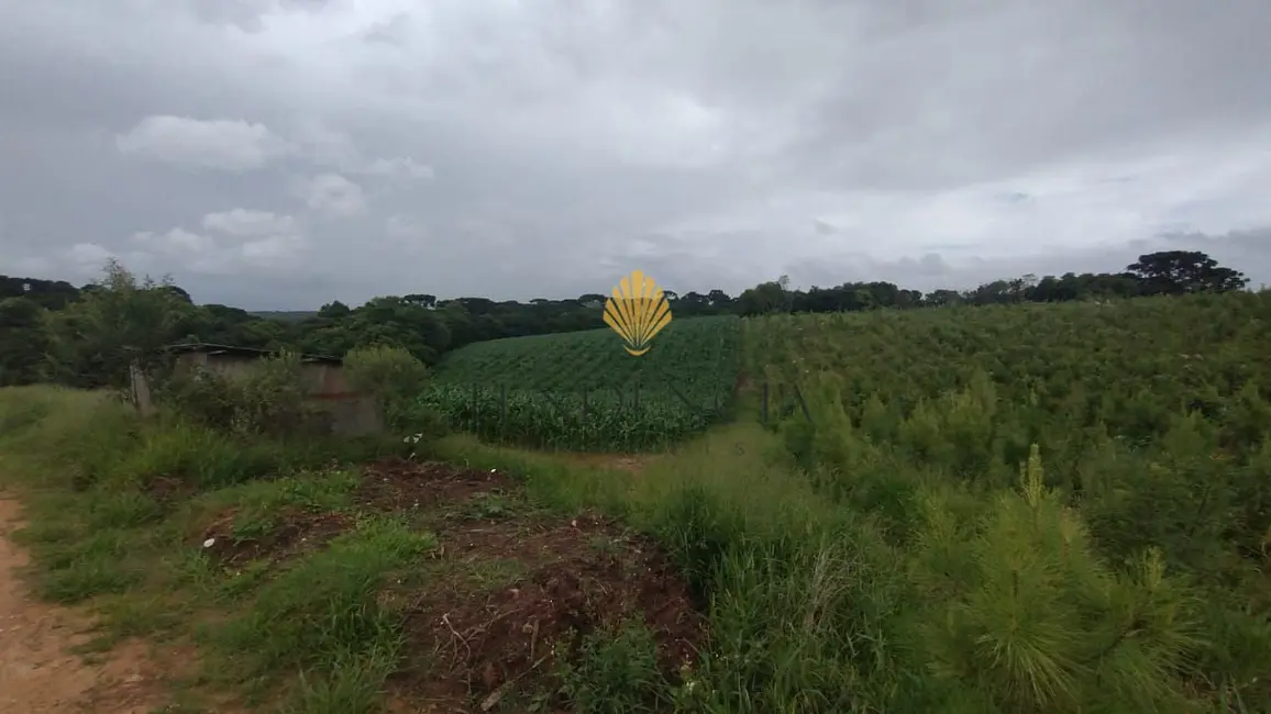 Chácara com 1 quarto à venda, 25110m2 em Cachoeira, Sao Jose Dos Pinhais - PR - imagem 5 Foto 5 de Chácara com 1 quarto à venda, 25110m2 em Cachoeira, Sao Jose Dos Pinhais - PR