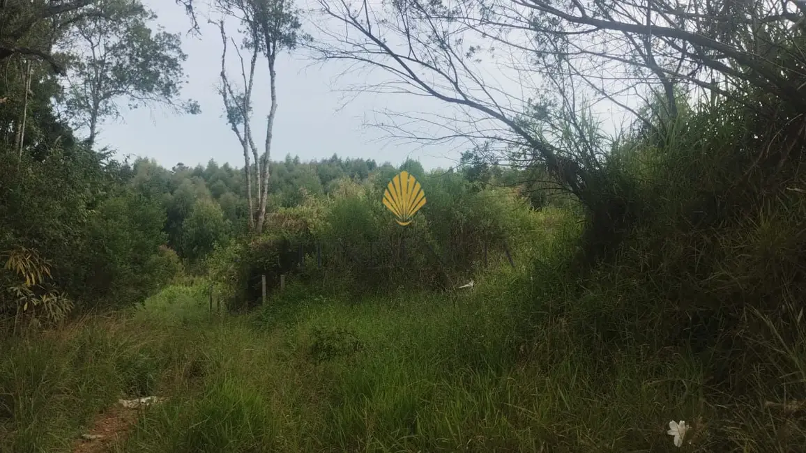 Foto 10 de Terreno / Lote com 1 quarto à venda, 29040m2 em Cachoeira, Sao Jose Dos Pinhais - PR