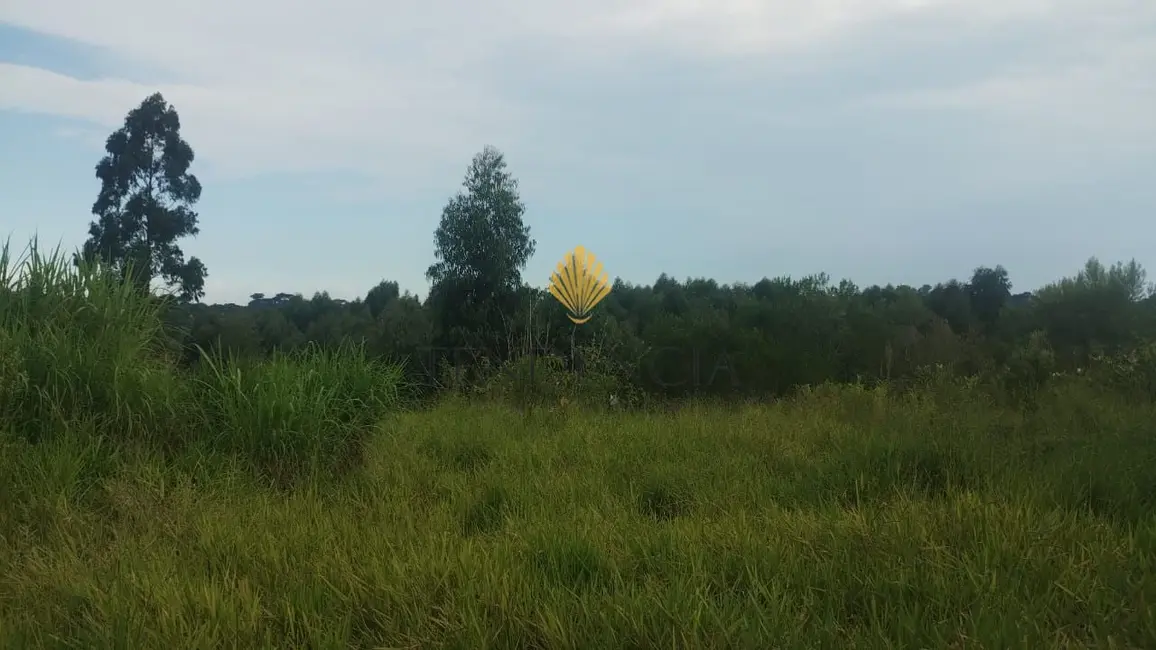 Foto 16 de Terreno / Lote com 1 quarto à venda, 29040m2 em Cachoeira, Sao Jose Dos Pinhais - PR