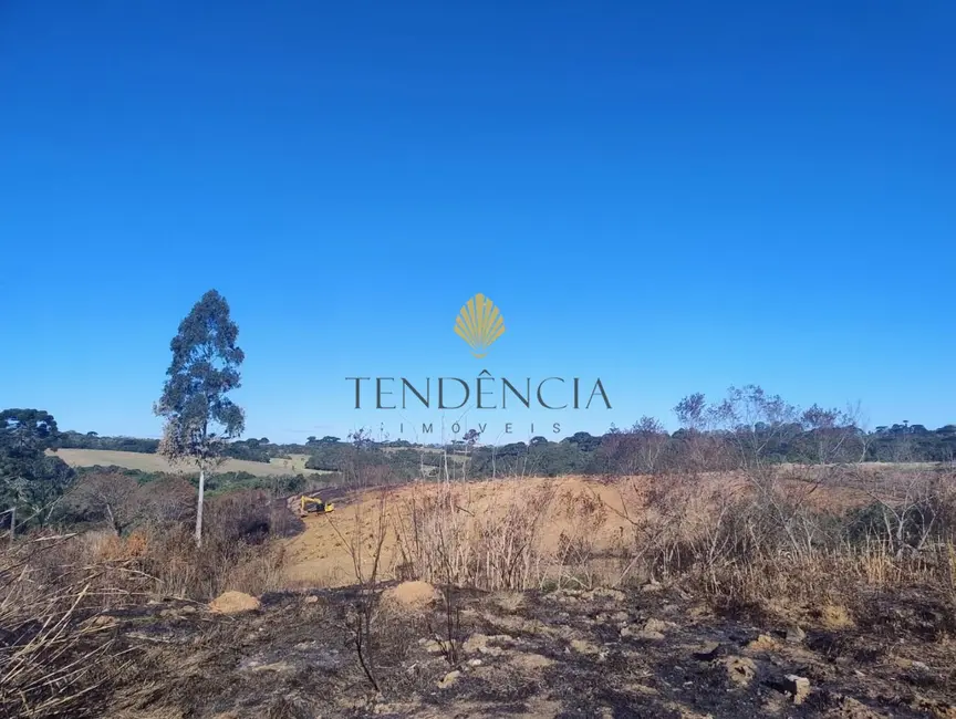 Terreno / Lote com 1 quarto à venda, 29040m2 em Cachoeira, Sao Jose Dos Pinhais - PR - imagem 5 Foto 5 de Terreno / Lote com 1 quarto à venda, 29040m2 em Cachoeira, Sao Jose Dos Pinhais - PR