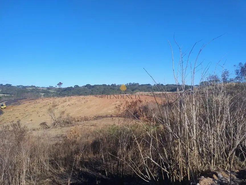 Foto 1 de Terreno / Lote com 1 quarto à venda, 29040m2 em Cachoeira, Sao Jose Dos Pinhais - PR