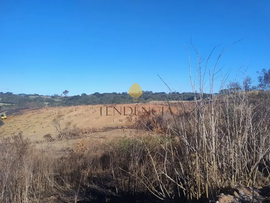 Terreno / Lote com 1 quarto à venda, 29040m2 em Cachoeira, Sao Jose Dos Pinhais - PR - imagem 4 Foto 4 de Terreno / Lote com 1 quarto à venda, 29040m2 em Cachoeira, Sao Jose Dos Pinhais - PR