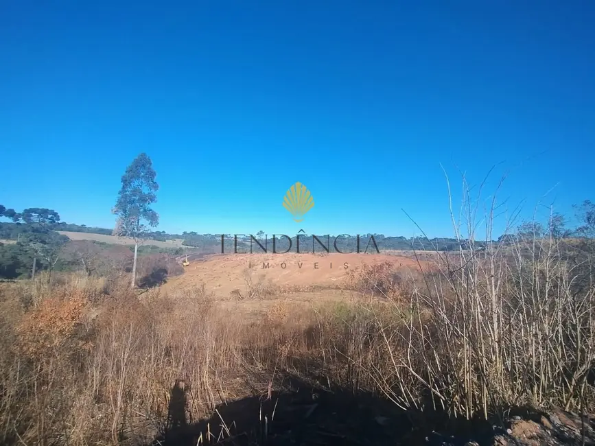 Terreno / Lote com 1 quarto à venda, 29040m2 em Cachoeira, Sao Jose Dos Pinhais - PR - imagem 7 Foto 7 de Terreno / Lote com 1 quarto à venda, 29040m2 em Cachoeira, Sao Jose Dos Pinhais - PR