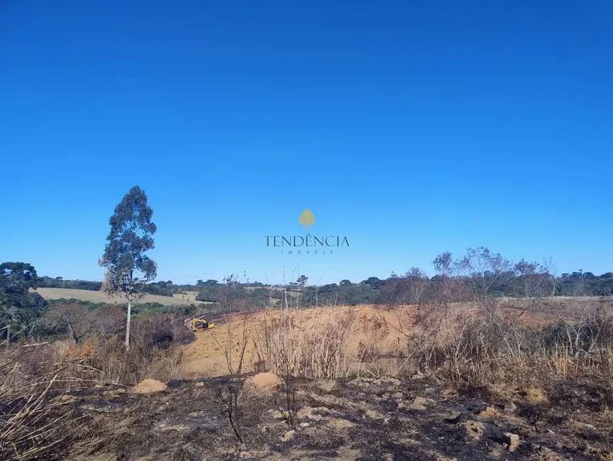 Foto 2 de Terreno / Lote com 1 quarto à venda, 29040m2 em Cachoeira, Sao Jose Dos Pinhais - PR
