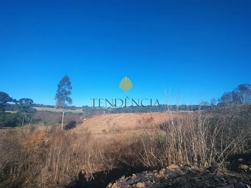 Terreno / Lote com 1 quarto à venda, 29040m2 em Cachoeira, Sao Jose Dos Pinhais - PR - imagem 6 Foto 6 de Terreno / Lote com 1 quarto à venda, 29040m2 em Cachoeira, Sao Jose Dos Pinhais - PR