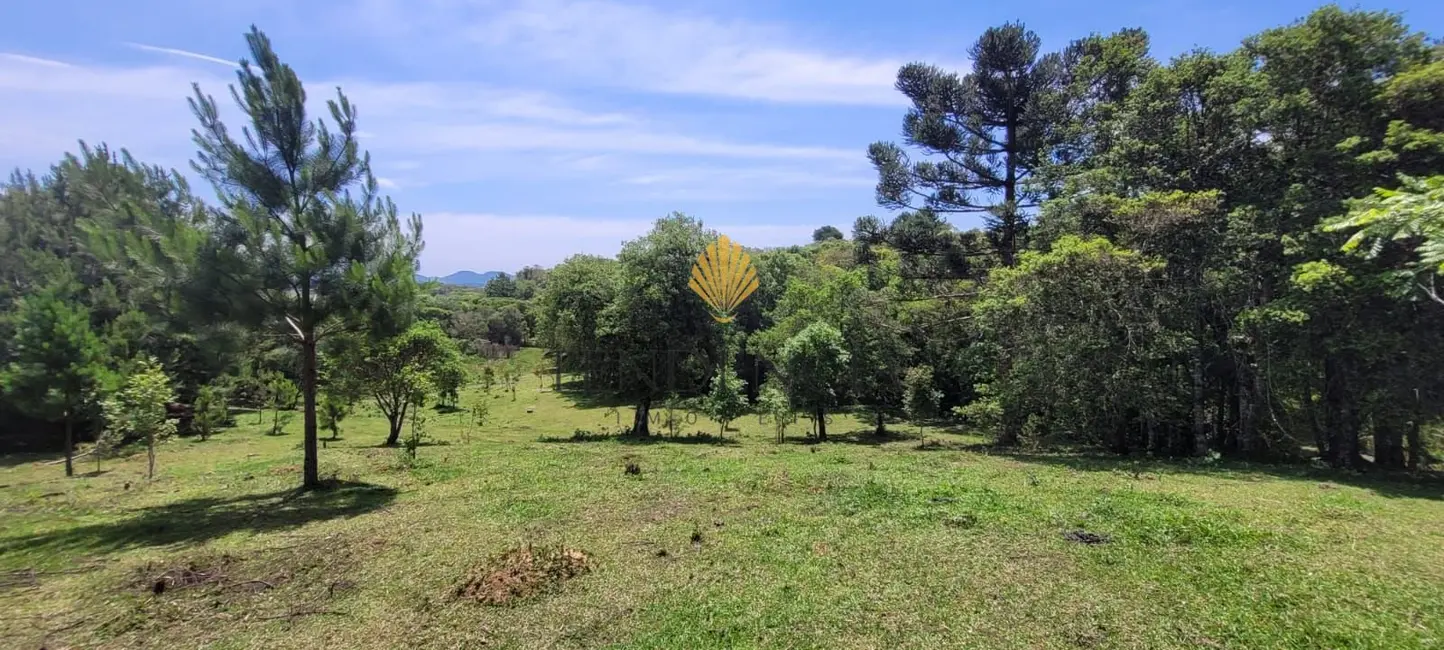Foto 9 de Chácara com 1 quarto à venda, 29519m2 em Tijucas Do Sul - PR