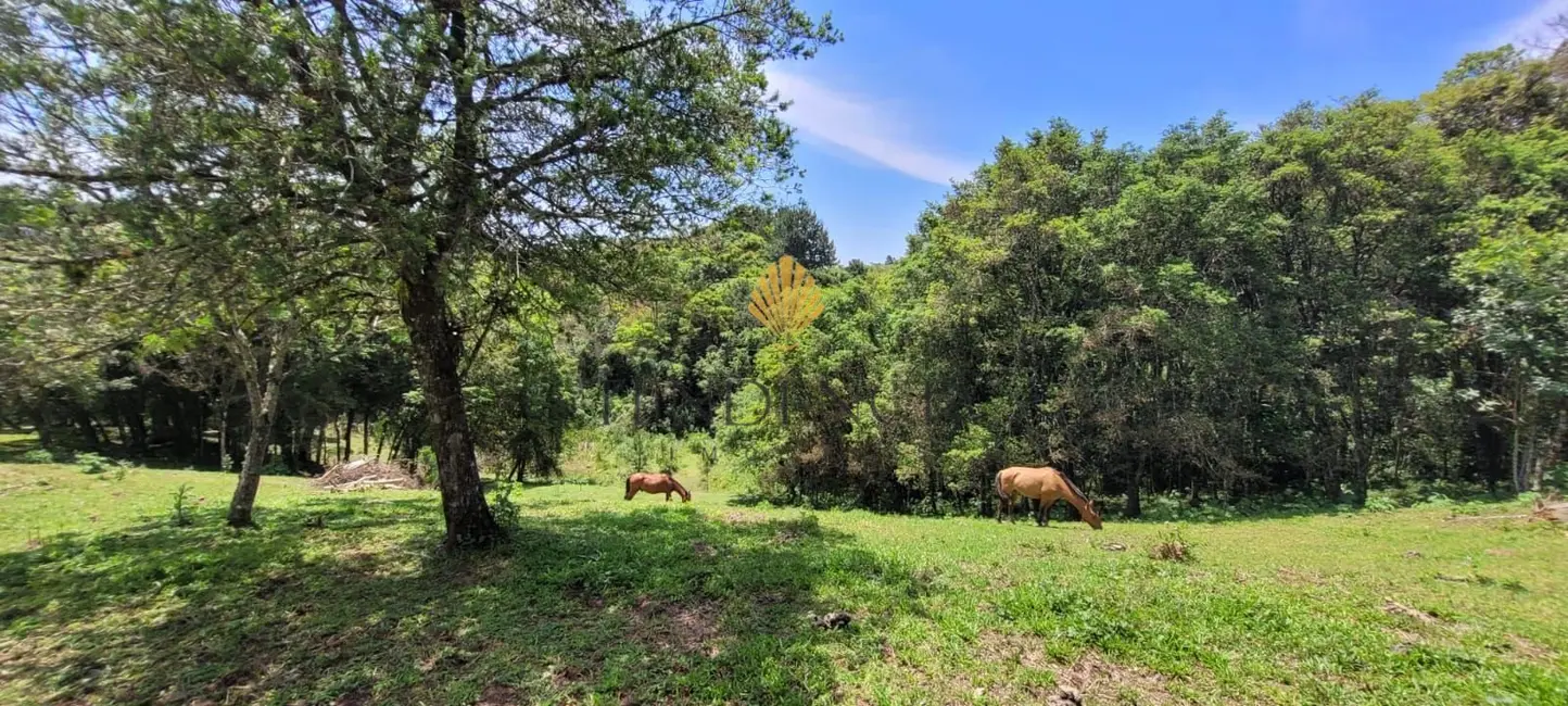 Foto 1 de Chácara com 1 quarto à venda, 29519m2 em Tijucas Do Sul - PR