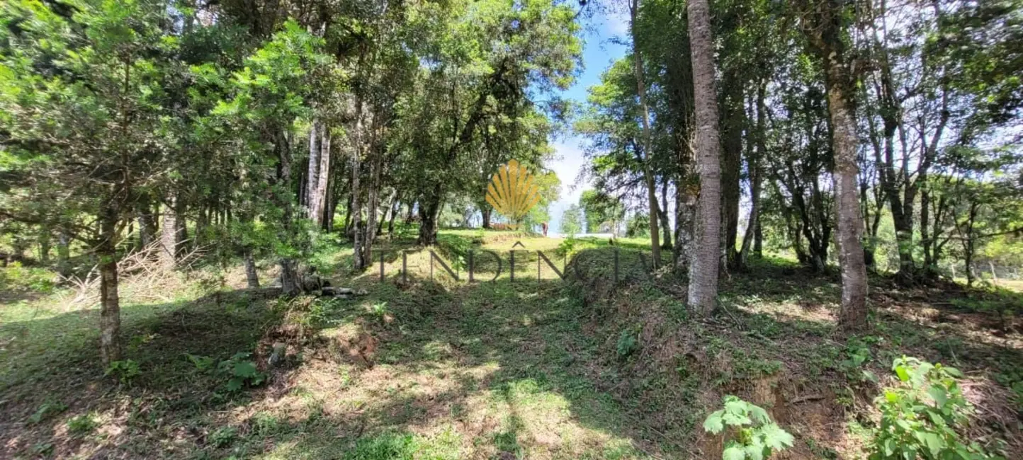 Foto 7 de Chácara com 1 quarto à venda, 29519m2 em Tijucas Do Sul - PR
