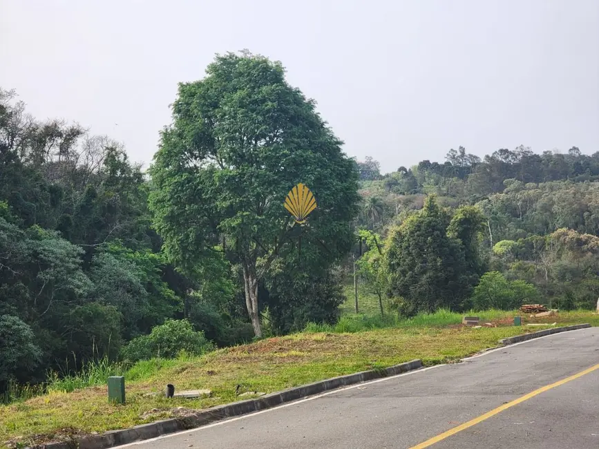 Terreno / Lote à venda, 1060m2 em Vila Conceição, Campo Largo - PR - imagem 9 Foto 9 de Terreno / Lote à venda, 1060m2 em Vila Conceição, Campo Largo - PR