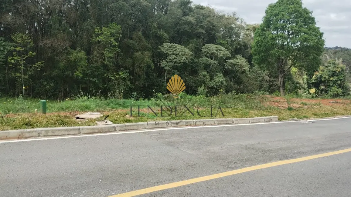 Terreno / Lote à venda, 1060m2 em Vila Conceição, Campo Largo - PR - imagem 7 Foto 7 de Terreno / Lote à venda, 1060m2 em Vila Conceição, Campo Largo - PR