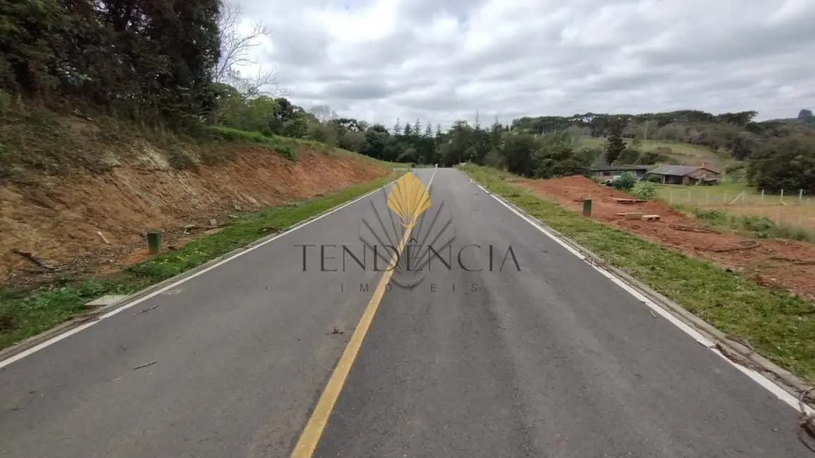 Terreno / Lote à venda, 1060m2 em Vila Conceição, Campo Largo - PR - imagem 7 Foto 7 de Terreno / Lote à venda, 1060m2 em Vila Conceição, Campo Largo - PR