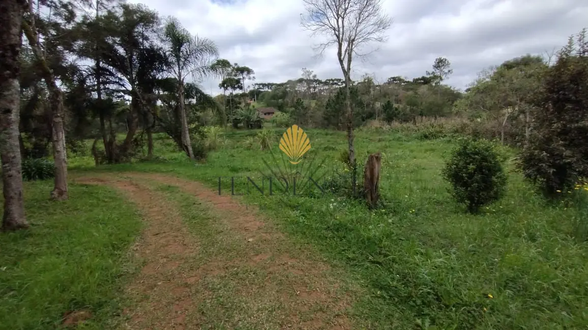 Terreno / Lote à venda, 1060m2 em Vila Conceição, Campo Largo - PR - imagem 8 Foto 8 de Terreno / Lote à venda, 1060m2 em Vila Conceição, Campo Largo - PR