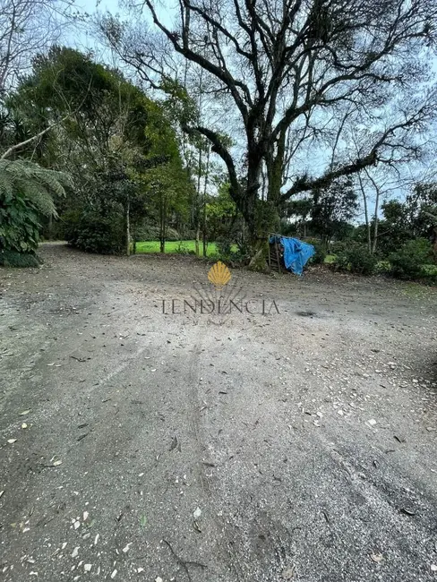 Chácara com 1 quarto à venda, 12859m2 em Área Rural de São José dos Pinhais, Sao Jose Dos Pinhais - PR - imagem 9 Foto 9 de Chácara com 1 quarto à venda, 12859m2 em Área Rural de São José dos Pinhais, Sao Jose Dos Pinhais - PR