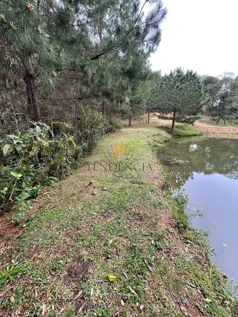 Chácara com 1 quarto à venda, 12859m2 em Área Rural de São José dos Pinhais, Sao Jose Dos Pinhais - PR - imagem 5 Foto 5 de Chácara com 1 quarto à venda, 12859m2 em Área Rural de São José dos Pinhais, Sao Jose Dos Pinhais - PR