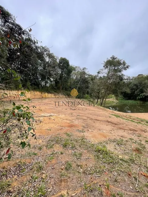 Chácara com 1 quarto à venda, 12859m2 em Área Rural de São José dos Pinhais, Sao Jose Dos Pinhais - PR - imagem 8 Foto 8 de Chácara com 1 quarto à venda, 12859m2 em Área Rural de São José dos Pinhais, Sao Jose Dos Pinhais - PR