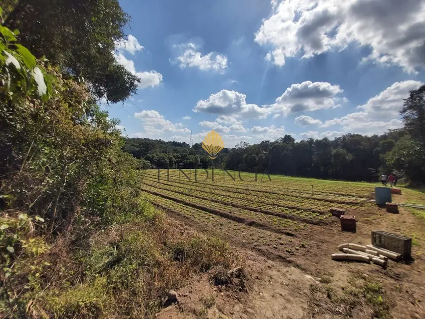 Chácara com 4 quartos à venda, 63708m2 em Contenda, Sao Jose Dos Pinhais - PR - imagem 8 Foto 8 de Chácara com 4 quartos à venda, 63708m2 em Contenda, Sao Jose Dos Pinhais - PR