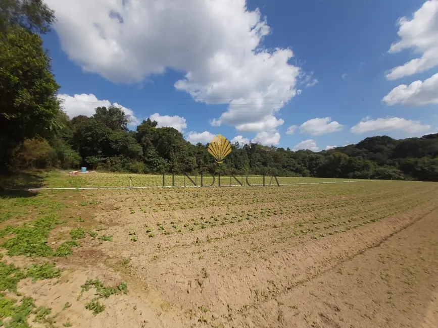 Foto 2 de Chácara com 4 quartos à venda, 63708m2 em Contenda, Sao Jose Dos Pinhais - PR