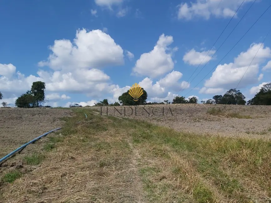 Chácara com 4 quartos à venda, 63708m2 em Contenda, Sao Jose Dos Pinhais - PR - imagem 3 Foto 3 de Chácara com 4 quartos à venda, 63708m2 em Contenda, Sao Jose Dos Pinhais - PR