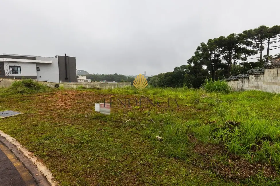 Terreno / Lote à venda, 473m2 em Jardim Padre José de Anchieta, Campo Largo - PR - imagem 8 Foto 8 de Terreno / Lote à venda, 473m2 em Jardim Padre José de Anchieta, Campo Largo - PR