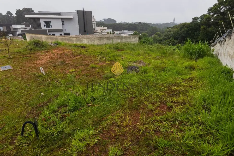 Terreno / Lote à venda, 473m2 em Jardim Padre José de Anchieta, Campo Largo - PR - imagem 6 Foto 6 de Terreno / Lote à venda, 473m2 em Jardim Padre José de Anchieta, Campo Largo - PR