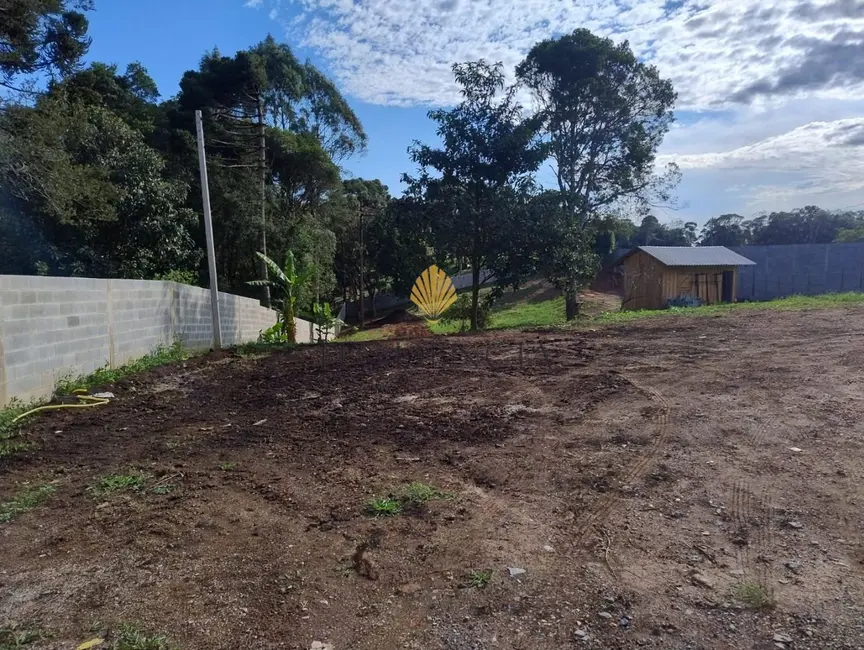 Chácara com 2 quartos à venda, 2750m2 em Lagoinha, Tijucas Do Sul - PR - imagem 4 Foto 4 de Chácara com 2 quartos à venda, 2750m2 em Lagoinha, Tijucas Do Sul - PR