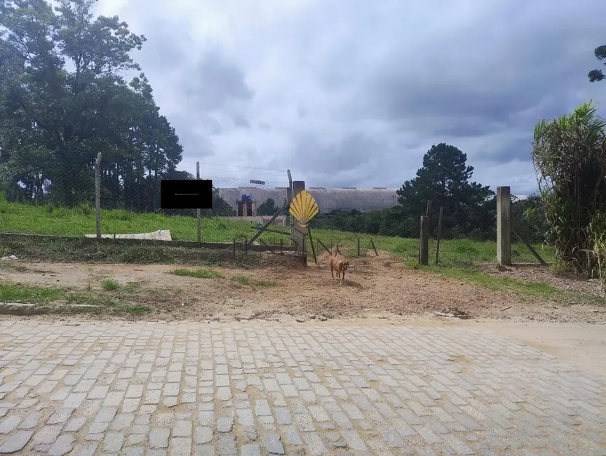 Foto 2 de Terreno / Lote à venda, 5000m2 em Alto Boqueirão, Curitiba - PR